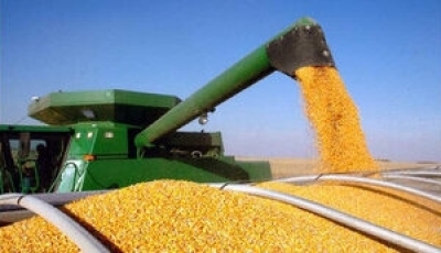 Молдова передумала забороняти імпорт українського зерна